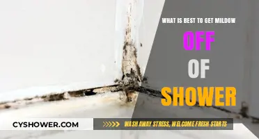 Effective Ways to Remove Mildow from Your Shower Easily