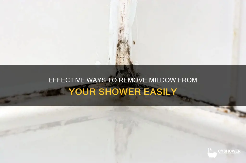 what is best to get mildow off of shower