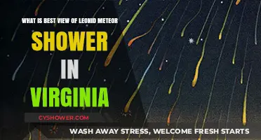 Best Spots in Virginia to Watch the Leonid Meteor Shower