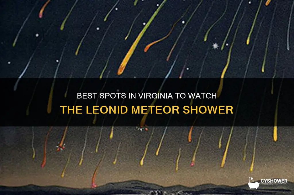 what is best view of leonid meteor shower in virginia