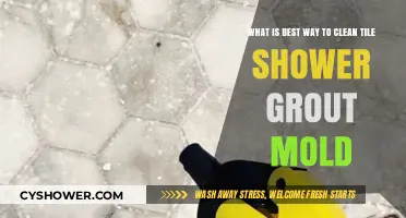Effective Tile Shower Grout Mold Cleaning: Top Methods and Tips