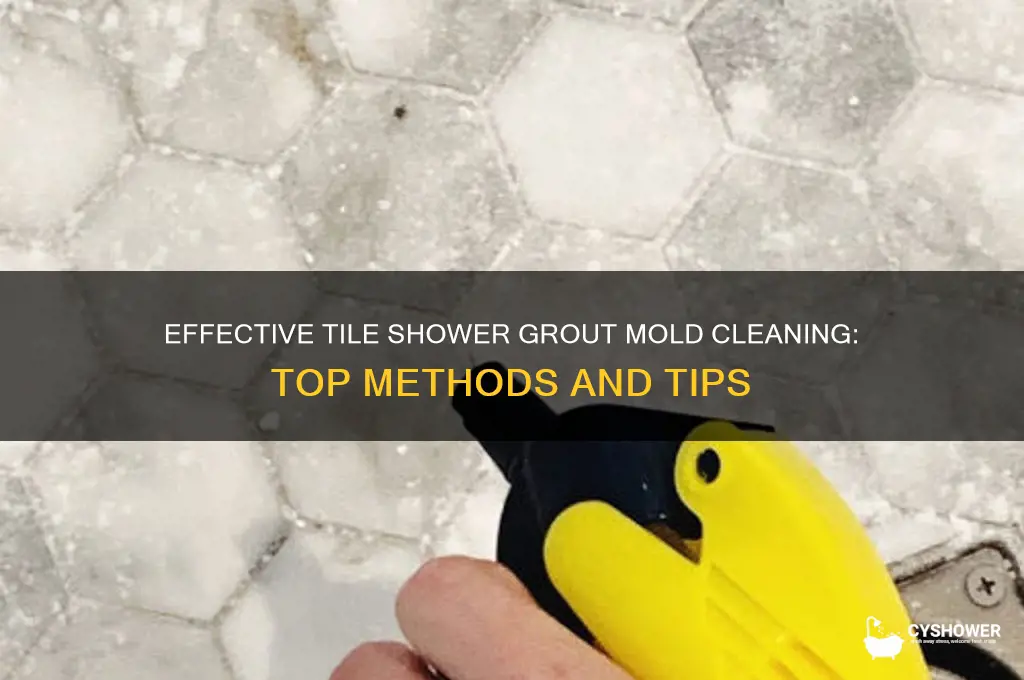 what is best way to clean tile shower grout mold