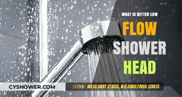 Low Flow Shower Heads: Eco-Friendly Savings or Compromised Experience?