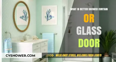 Shower Curtain vs. Glass Door: Which Bathroom Option Wins?