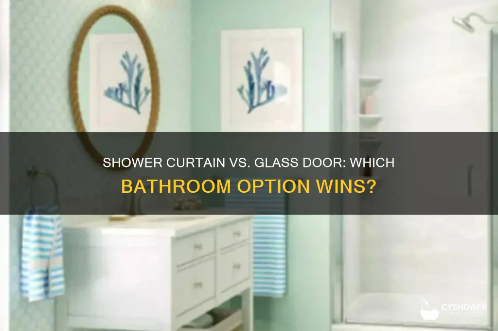 what is better shower curtain or glass door