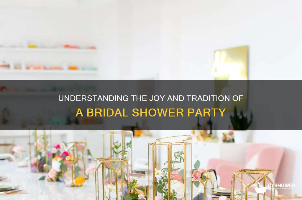 what is bridal shower party