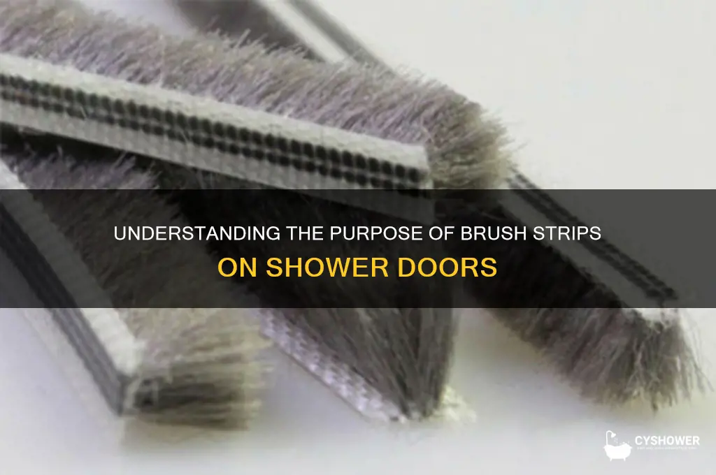 what is brush strip at bottom of shower door