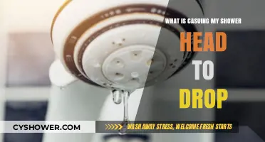 Why Your Shower Head Keeps Dropping: Common Causes and Fixes