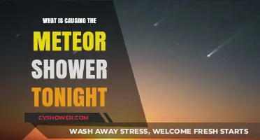 Tonight's Meteor Shower: Unveiling the Celestial Source and Causes