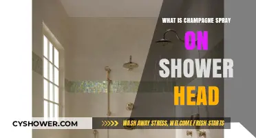 Champagne Spray Shower Heads: Luxurious Shower Experience Explained