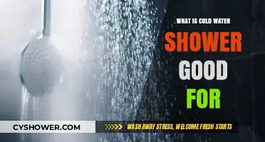 Cold Water Showers: Surprising Health Benefits and Why They Work