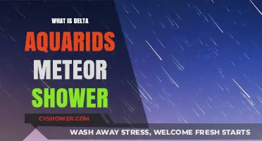 Delta Aquarids Meteor Shower: A Celestial Spectacle Explained