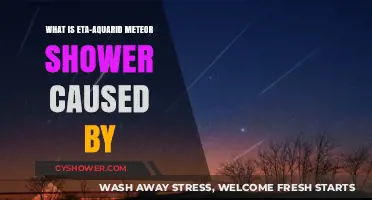 Eta-Aquarid Meteor Shower: Halley's Comet Debris Trail Explained