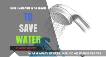 Efficient Showering: Tips for Saving Water and Time