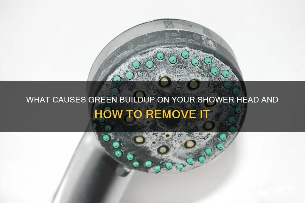what is green stuff on shower head