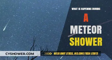 Meteor Showers Unveiled: Celestial Fireworks and Cosmic Debris Explained