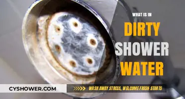 Unveiling the Hidden Contaminants in Your Dirty Shower Water