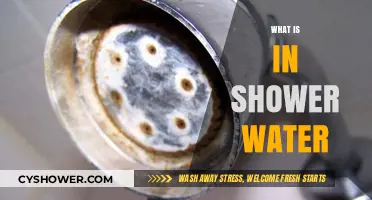 Unveiling the Truth: What's Really in Your Shower Water?