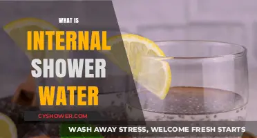 Understanding Internal Shower Water: Benefits, Uses, and Maintenance Tips