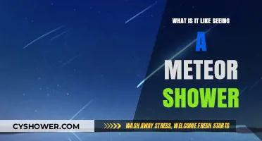 Witnessing Celestial Magic: The Breathtaking Experience of a Meteor Shower