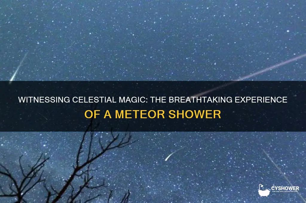 what is it like seeing a meteor shower