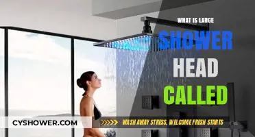 Discover the Name: What is a Large Shower Head Called?