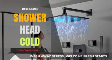 Understanding the Large Shower Head Cold Phenomenon: Causes and Solutions