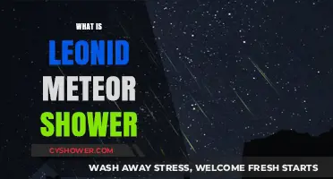 Exploring the Leonid Meteor Shower: Origins, Peaks, and Viewing Tips