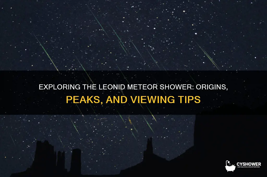 what is leonid meteor shower