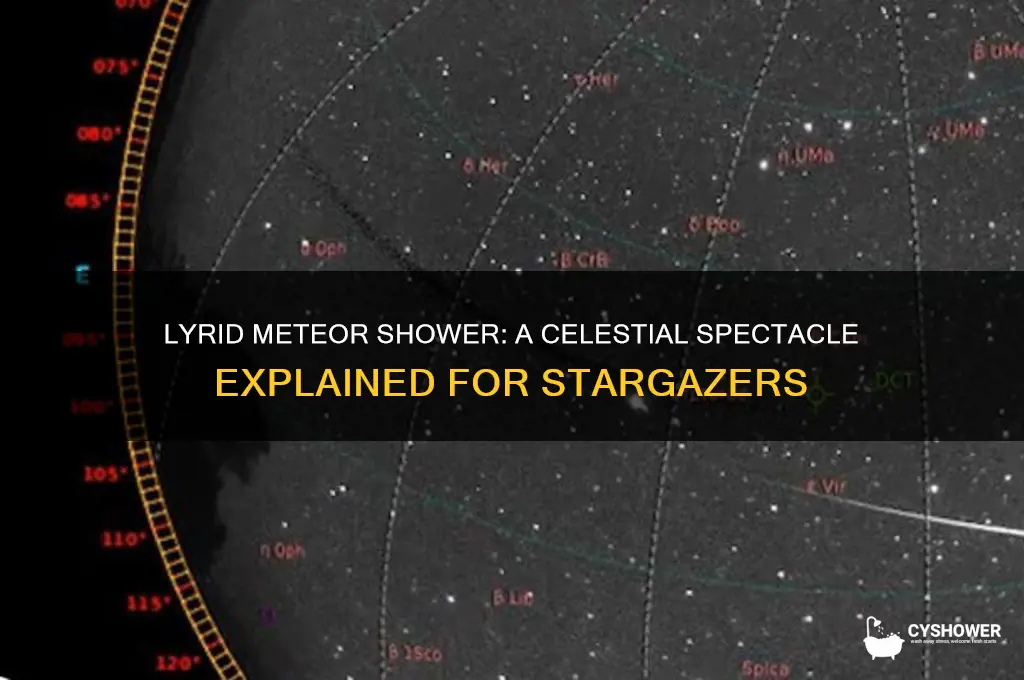 what is lyrid meteor shower