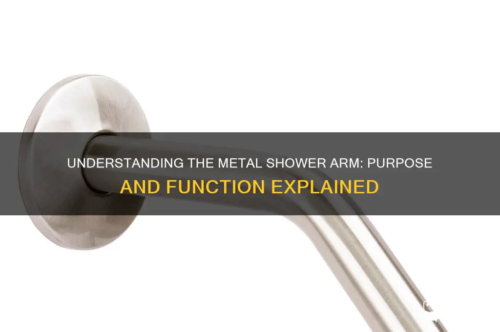 what is metal thing above shower head