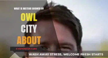 Decoding Owl City's 'Meteor Shower': Lyrics, Meaning, and Inspiration