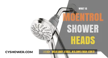 Discover the Benefits of Moentrol Shower Heads for Your Bathroom
