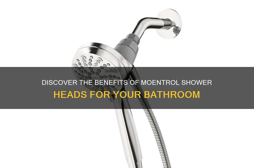 what is moentrol shower heads