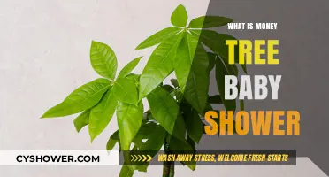 Nurturing Prosperity: The Unique Charm of a Money Tree Baby Shower