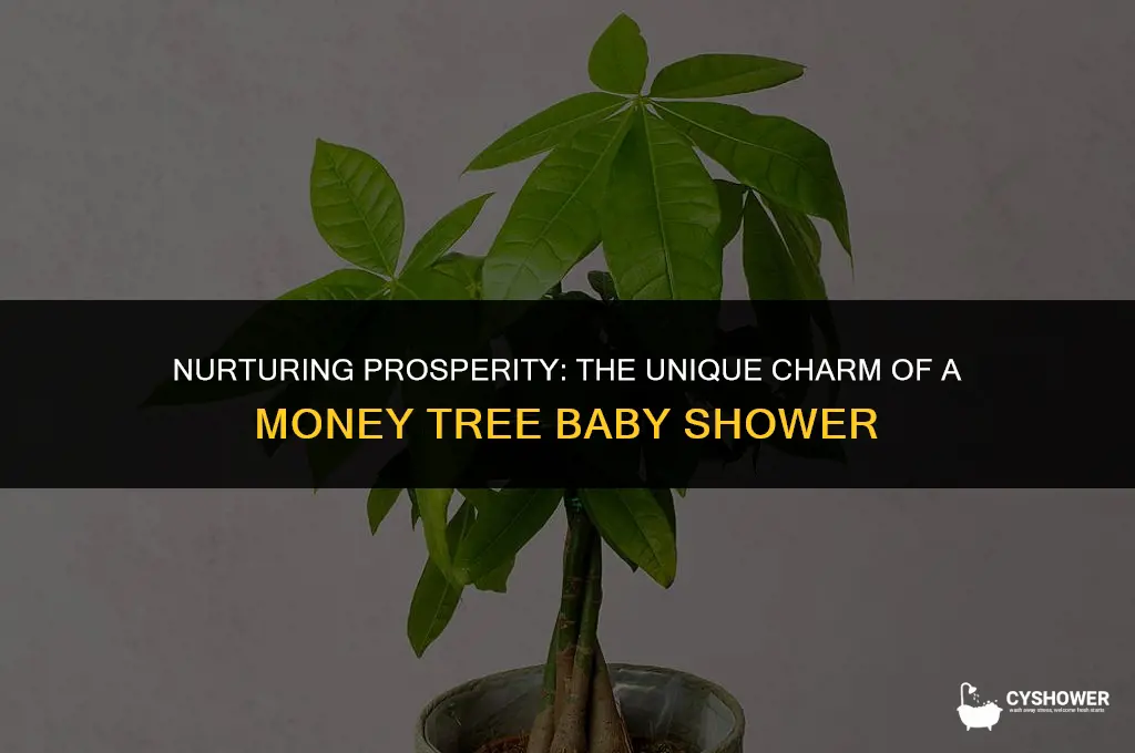 what is money tree baby shower