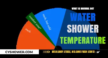 Ideal Hot Water Shower Temperature: What’s Normal and Safe?