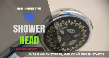 What's That Orange Stuff on Your Shower Head? Causes and Fixes