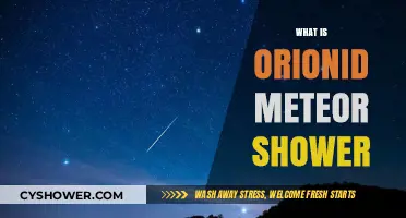 Orionid Meteor Shower: A Celestial Spectacle Explained