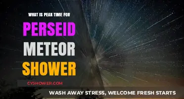 Catch the Perseid Meteor Shower at Its Peak: Best Viewing Times