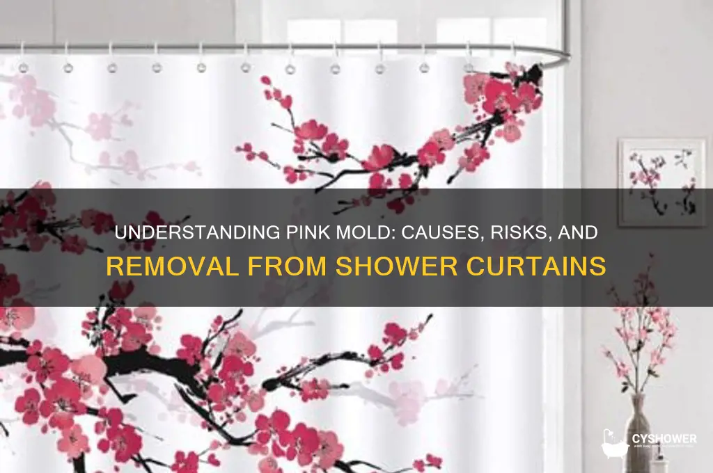 what is pink mold on shower curtain