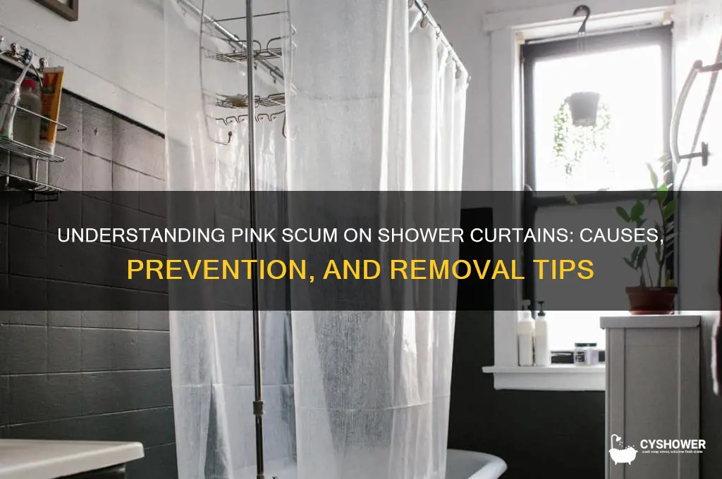 what is pink scum on shower curtain