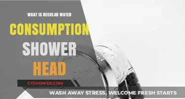 Eco-Friendly Showering: Understanding Regular Water Consumption Shower Heads