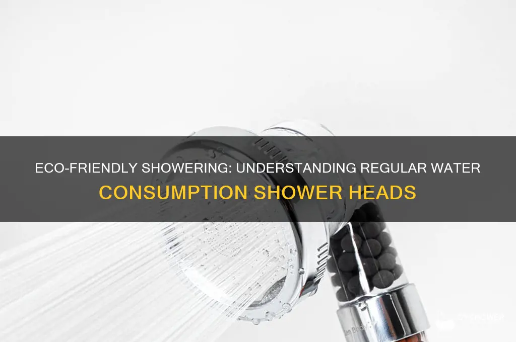 what is regular water consumption shower head