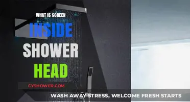 Innovative Shower Experience: Understanding the Screen Inside Shower Heads