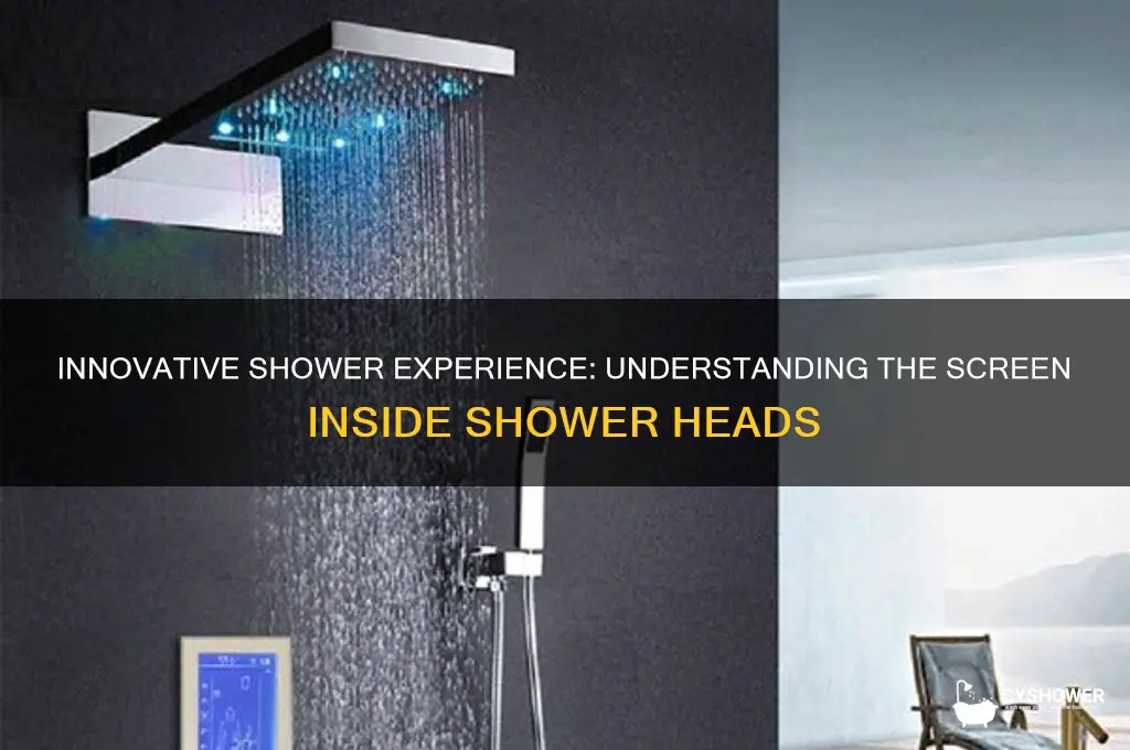 what is screen inside shower head
