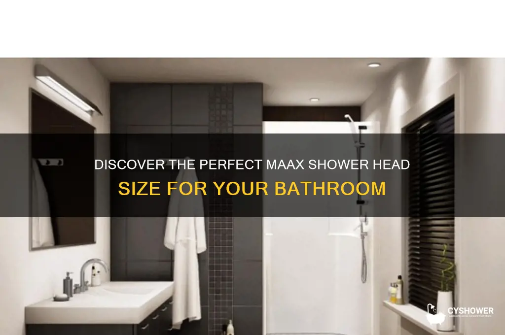 what is size of maax shower head