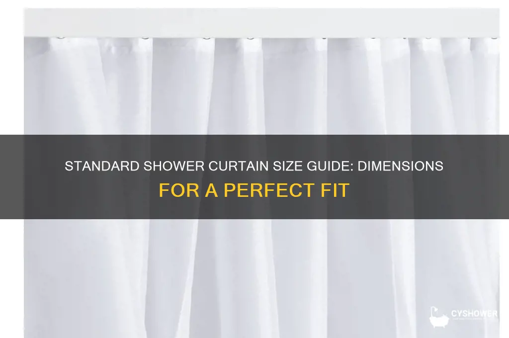 what is size of regular shower curtain