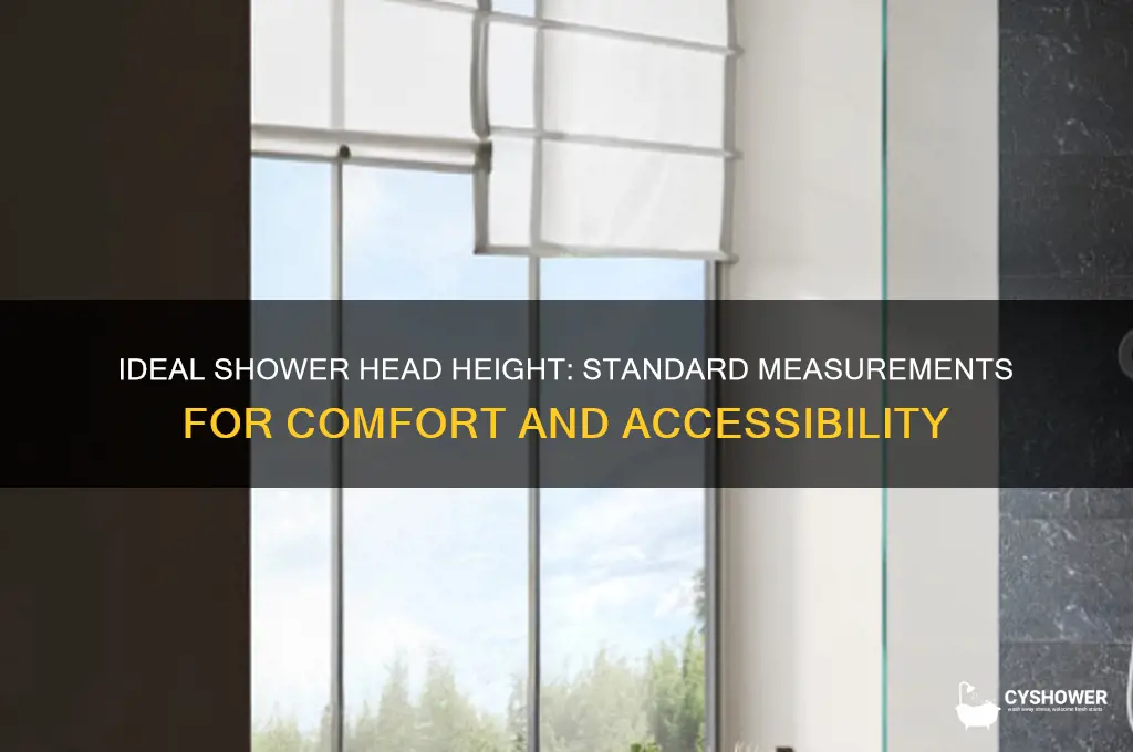 what is standard for shower head height