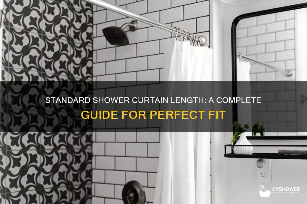 what is standard length of a shower curtain